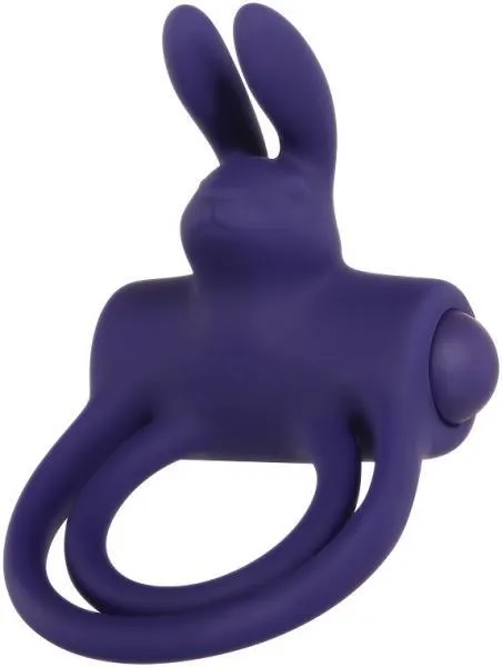 Adam Eve Vibrators Aande Silicone Recharge Rabbit Ring Purple