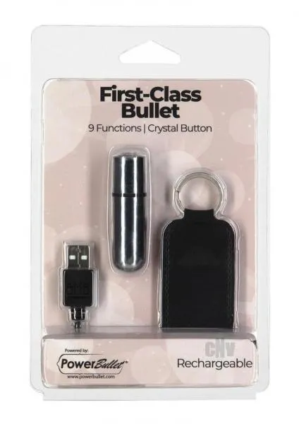 Female Sex Toys Powerbullet First Class Mini Bullet Silv Seductucom