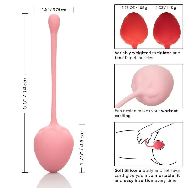 Kegel Training Set Female Sex Toys Kegel Training Set Strawberry 6 Piece