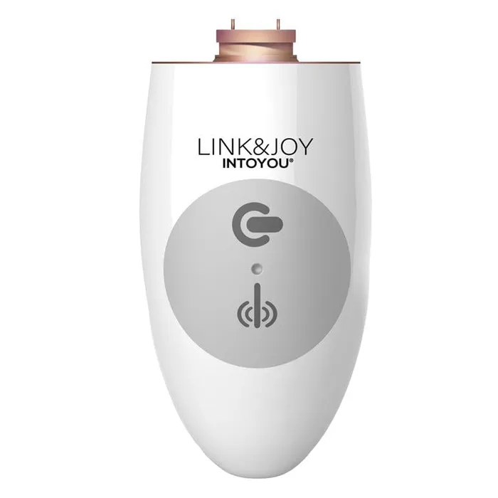 LinkJoy Controller Usb LinkJoy Vibrators