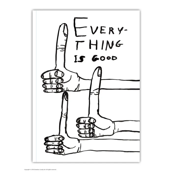 David Shrigley Everything Is Good Notebook Brainbox Candy Vibrators