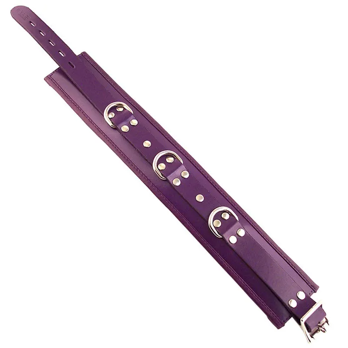 Rouge Garments Rouge Garments Purple Padded Collar Vibrators